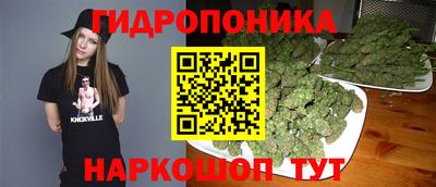 шишки Ливны