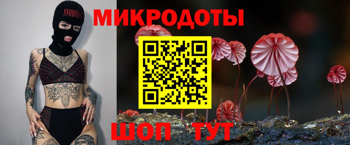 Галлюциногенные грибы мицелий Верхняя Пышма